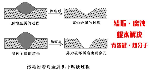 ysb体育官网官方入口